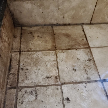 Clean Grout Lines