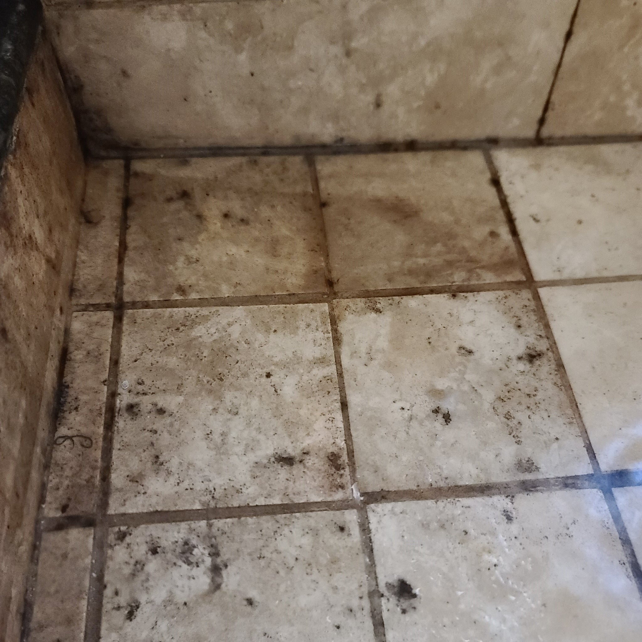 Clean Grout Lines